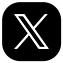 公式X